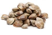 VONGOLE CON GUSCIO