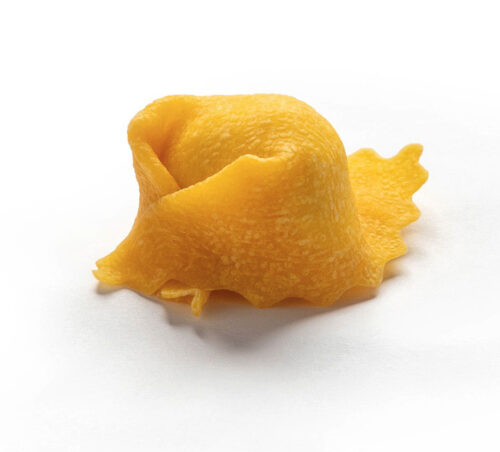 TORTELLACCI ALLO SCORFANO