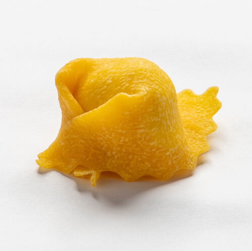 TORTELLACCI AI CROSTACEI E CAPESANTE